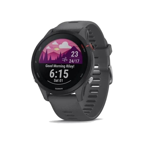 Смарт-годинник Garmin Forerunner 255 Slate Gray (010-02641-00/10/43)