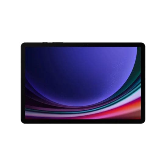Планшет Samsung Galaxy Tab S9 5G 12/256Gb Graphite (SM-X716BZAE) Global
